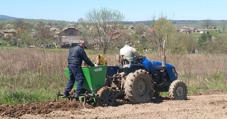 На Франковому полі посадили картоплю для Збройних Сил України