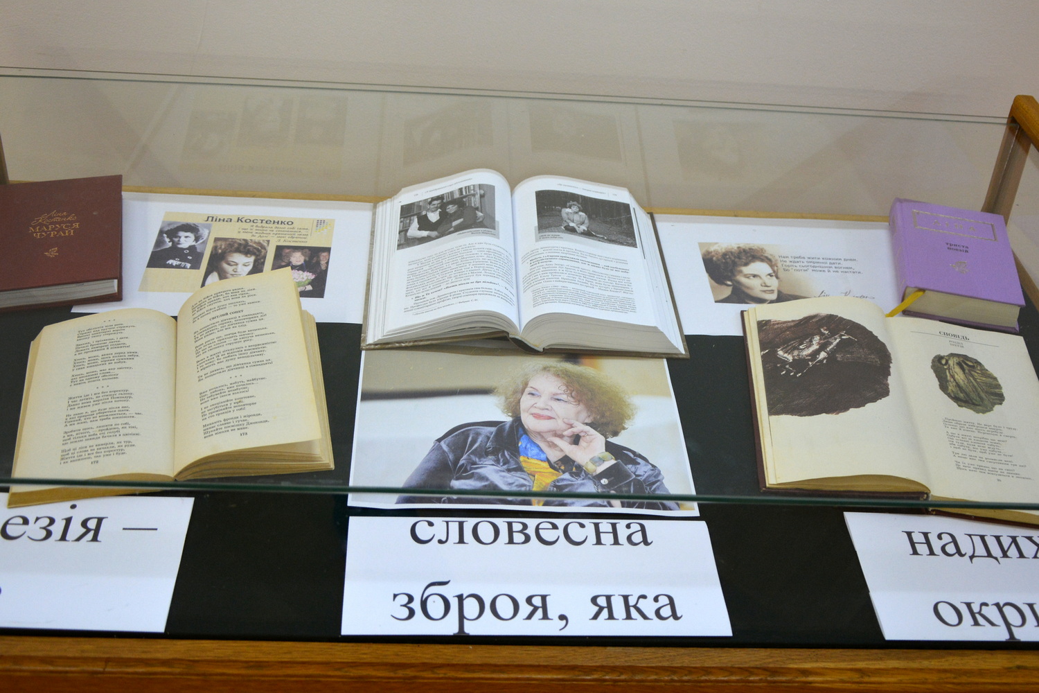 В музеї відкрилася книжкова виставка до дня народження Ліни Костенко